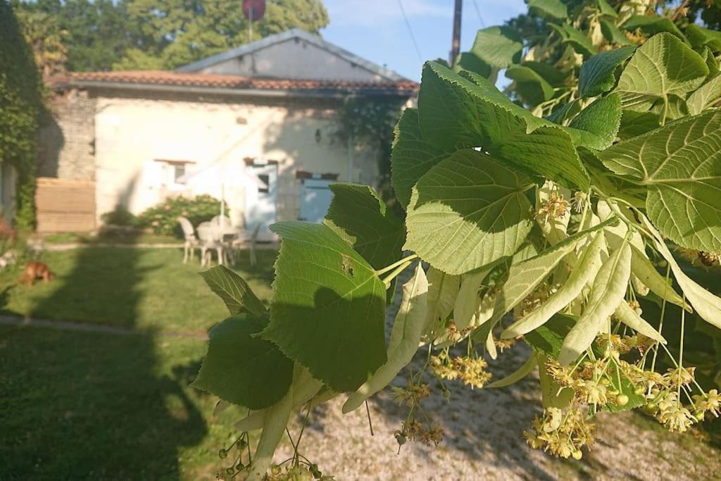 Entire Apartment With Swimming Pool Near Aubeterre Saint-Romain  Extérieur photo