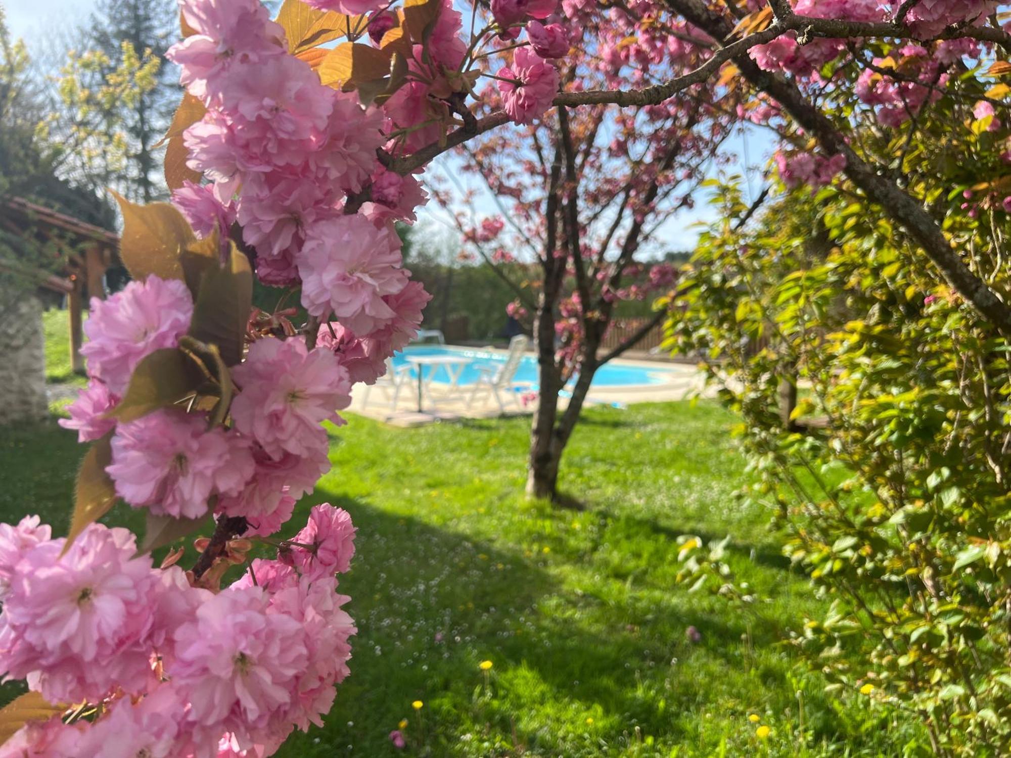 Entire Apartment With Swimming Pool Near Aubeterre Saint-Romain  Extérieur photo