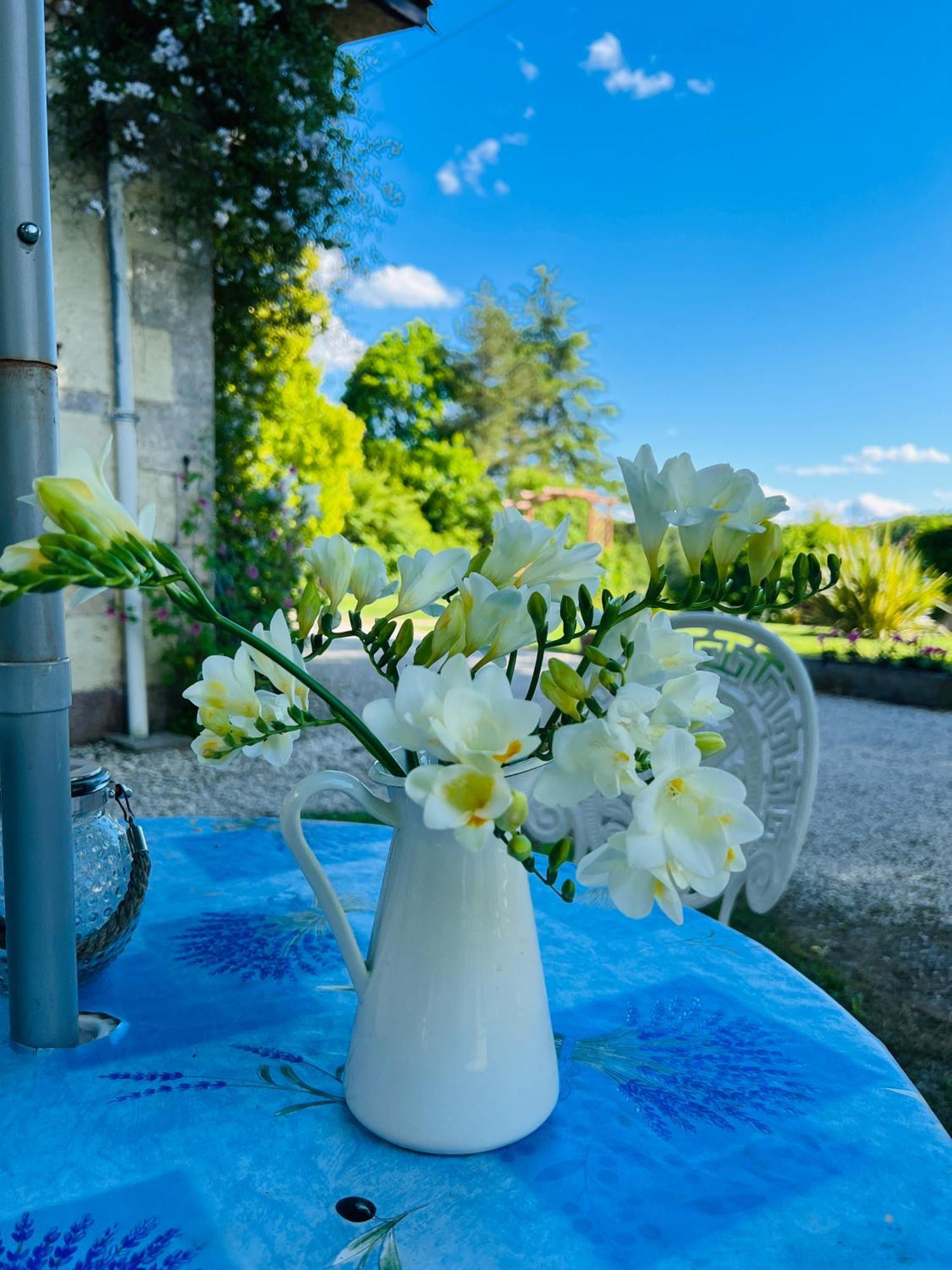 Entire Apartment With Swimming Pool Near Aubeterre Saint-Romain  Extérieur photo